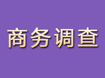 盐都商务调查